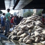 Per Menschenkette wird der Nachschub nach vorn gebracht