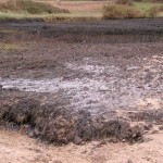 Foto Claus Böttcher