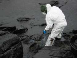 Ein freiwilliger Helfer im Ölschlamm (Foto: BF HH)