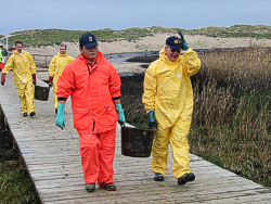 Helfer beim Abtransport von Ölschlamm (Foto: BF HH)