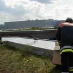 Auch sie soll eingefangen werden - klappt aber nicht.<br>(Copyright Freiwillige Feuerwehr Langenhorn-Nord)