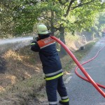 Flächenbrand Glashütter Landstraße<br>Foto: FF-Langenhorn