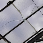 Scheibenreste hängen bedrohlich in den Glasdächern.
Foto: Michael Hammerich - FF Lokstedt