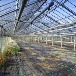 Foto: Jörn Petereit (FF Langenhorn-Nord)