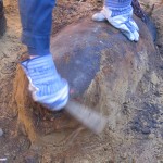 Die Bombe mit eingebautem Aufschlagzünder wird zur Entschärfung gereinigt.