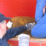 Die Bombe ist verladen, fertig zum Abtransport.