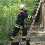 <br>© Sebastian Spettnagel<br