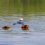 Ein Taucher treibt bewußtlos an der Wasseroberfläche.