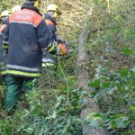 Entasten des Stammes in der Gruppe von Ausbilder Martin Wulff
