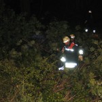 Der Sammelplatz füllt sich mit enfernten Ästen, die bei der Fällung der Bäume stören würden.