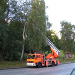 Erste Äste werden entfernt.