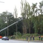 Es wird probiert, wie weit die Drehleiter an die Pappel herankommt. Bis zur Mitte des Baumes war es kein Problem.