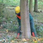 Der Schnitt macht´s...