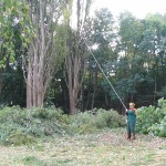 Ob das wohl was wird? :)