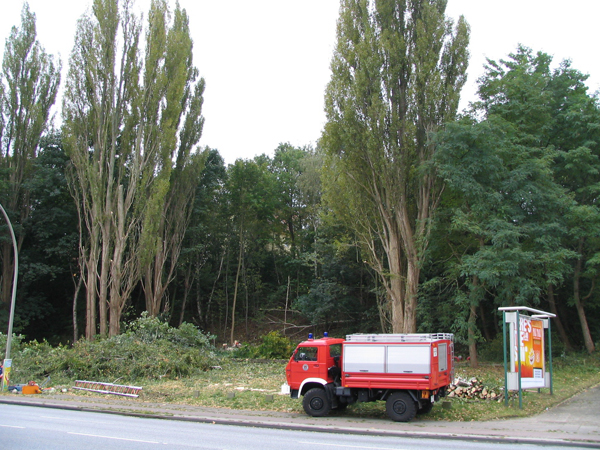 So weit sieht das schon gut aus.