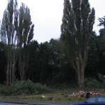 Und dies ist das Resultat, sieht schon vielversprechend aus. Leider konnten die Pappeln nicht entfernt werden, da muß anderes Gerät ran.