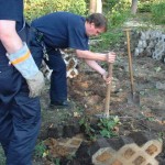 <br>© FF Eidelstedt<br