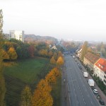 Die Bäume haben eine gemessene Kronenhöhe von 35m. Blick Richtung Neugraben.