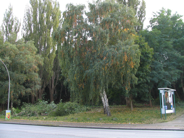 Das Gelände am 19.10.2005 und ....