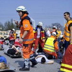 auf dem Sichtungsplatz