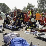 auf dem Sichtungsplatz