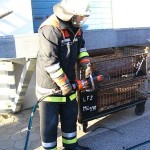 Praktischer Einsatz der Rettungsschere