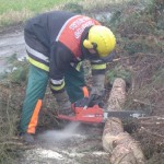 Sägen am liegenden Holz.