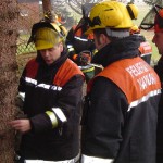 Bevor der Baum fällt, besprechen Wolgang Neustadt,Ausbilder Peter Timmann und Thomas Klüver die Vorgehensweise.