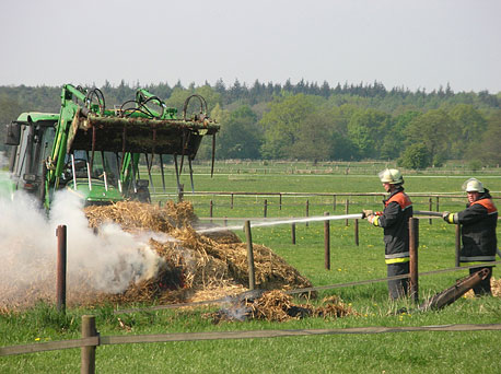 (c) N. Aulerich FF SUELD