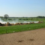 (c) N. Aulerich FF SUELD