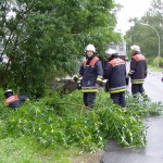 Hamburg Lokstedt - (Foto:M.Hammerich)