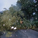 Lüttkamp in Lurup, Foto: D. Gawron (FF-Lurup)