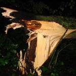 Möllner Landstr/Schleemer Park - Foto: Nosinski/Wiedenmann (FF Öjendorf)