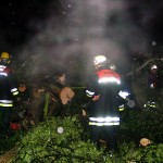 Möllner Landstr/Schleemer Park - Foto: Nosinski/Wiedenmann (FF Öjendorf)