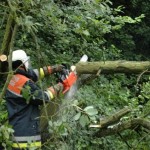 Foto: Joachim Hollweg (FF Meiendorf)