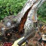 Foto: Joachim Hollweg (FF Meiendorf)