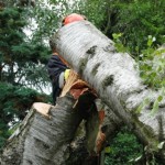 Foto: Joachim Hollweg (FF Meiendorf)