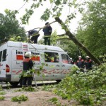 Einsatz FF Eidelstedt, Randowstraße, Baum auf Kleinlaster - Foto: Rico Thumser