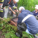 Foto: Peter Lemanski (FF Kirchdorf)