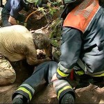 Feuerwehrfrau Mailyn kroch langsam in den Kaninchenbau und versuchte den Terrier zu greifen