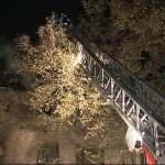 Zuerst mußten einige große Äste entfernt werden