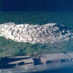 Foto : FF Nettelnburg