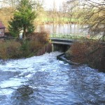 Blick zum Stauwehr  - Foto: Dieter Frommer