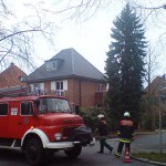 Graustraße / Drohte Tanne auf Straße und PKW zu stürzen © Christopher Zeyn (FF-Bille)