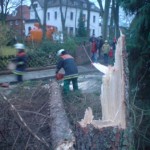 Graustraße / Drohte Tanne auf Straße und PKW zu stürzen © Christopher Zeyn (FF-Bille)