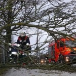 Copyright: Günther Geiger, FF Marmstorf