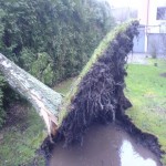 Copyright: Thomas Homfeld, FF Marmstorf