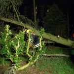 Copyright: FF Rothenburgsort/Veddel