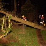 Copyright: FF Rothenburgsort/Veddel