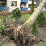 Fotos: Oliver Stroisch, FF Wellingsbüttel
